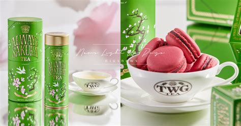 台灣獨家！TWG TEA推「台灣茶香馬卡龍」限定口 .